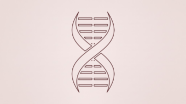 AUTOIMMUNE DISEASES-FIBROMYALGIA